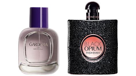 YSL Zara Perfume Dupe: Which Zara Perfume Smells .